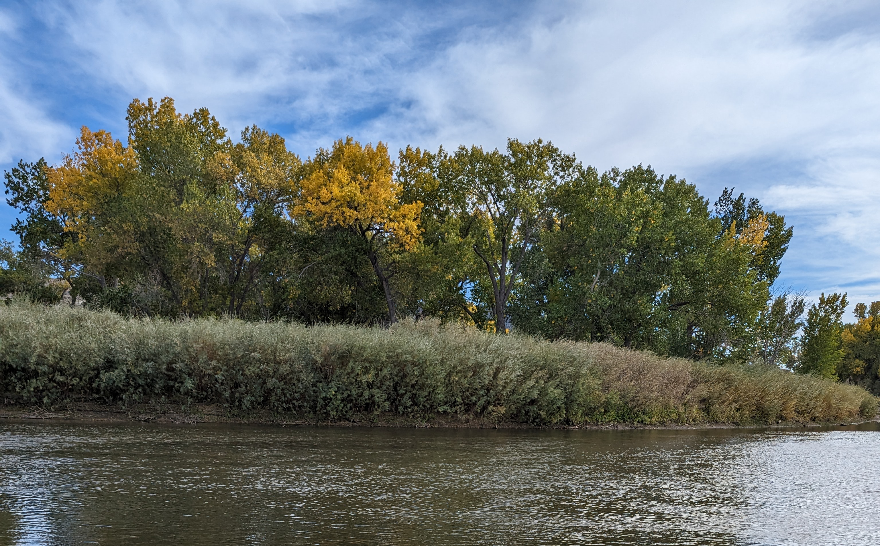 Photograph of elm trees turing orange for fall on the far side of a river bank 