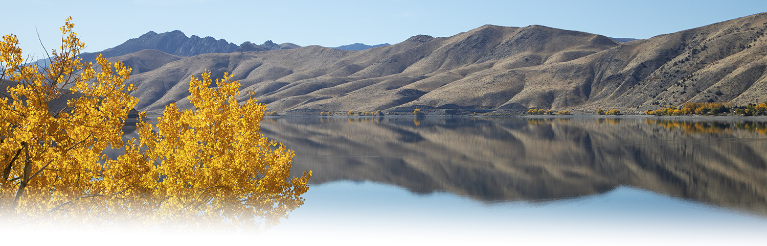 Photo of topaz lake on a fall day with an orange tree in the foreground and typical high desert hills in the background.