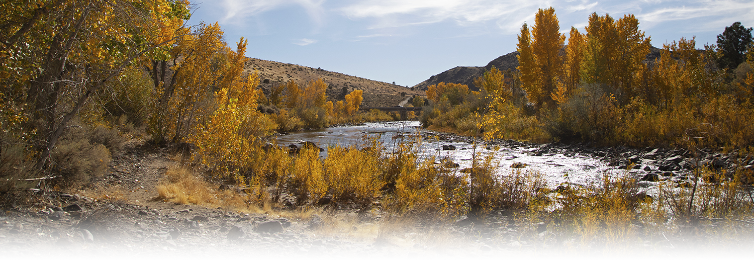 Carson River in fall. Photo Courtesy of Travel Nevada